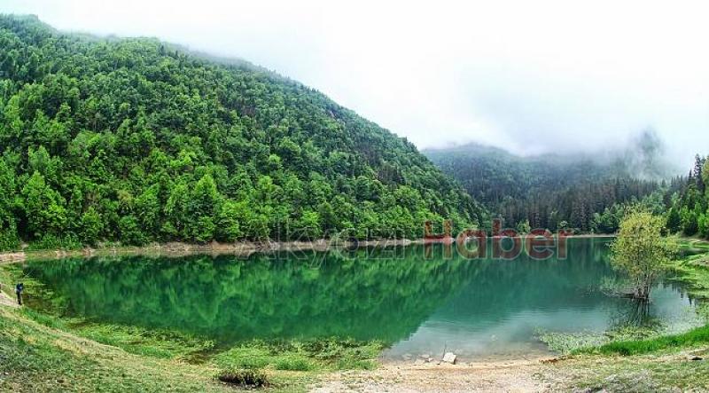 Merak uyandıran çalışma