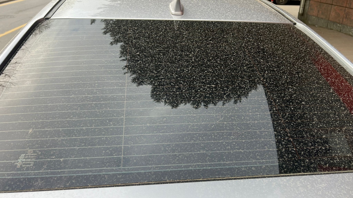 Meteoroloji uyarı yapmıştı, araçlar tozla kaplandı