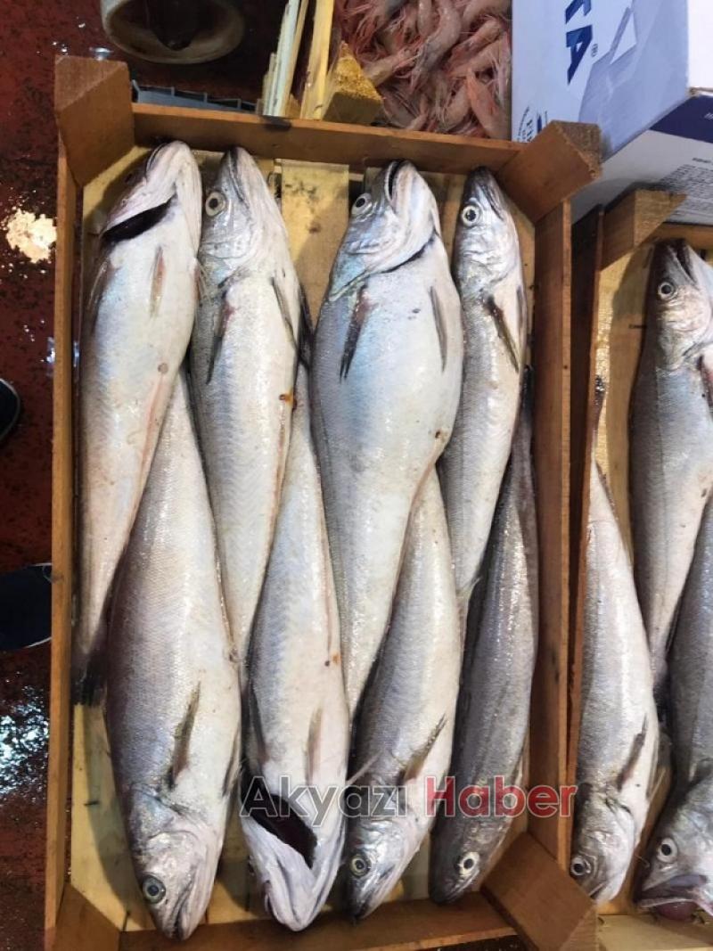 Mevsimin En Taze Balıkları Balıkçı Hüseyinde