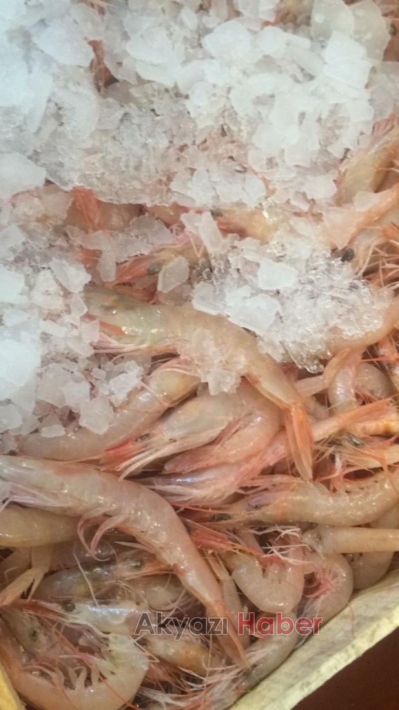 Mevsimin En Taze Balıkları Balıkçı Hüseyinde