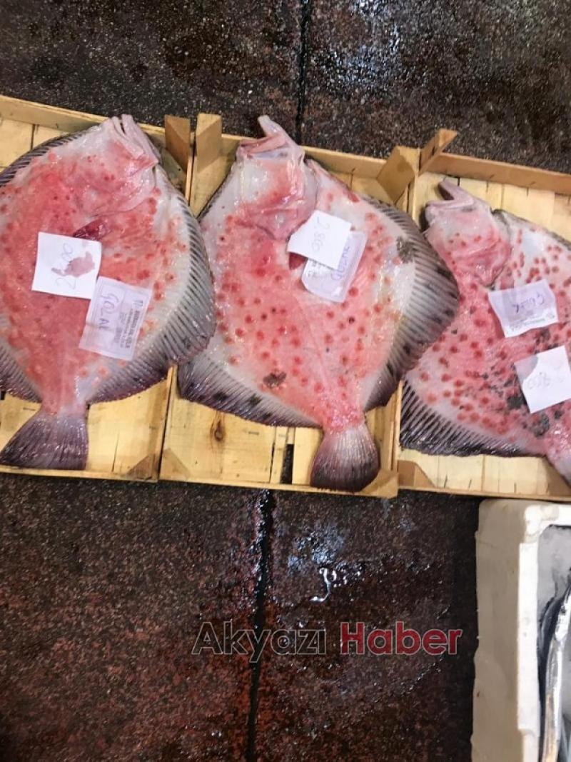 Mevsimin En Taze Balıkları Balıkçı Hüseyinde