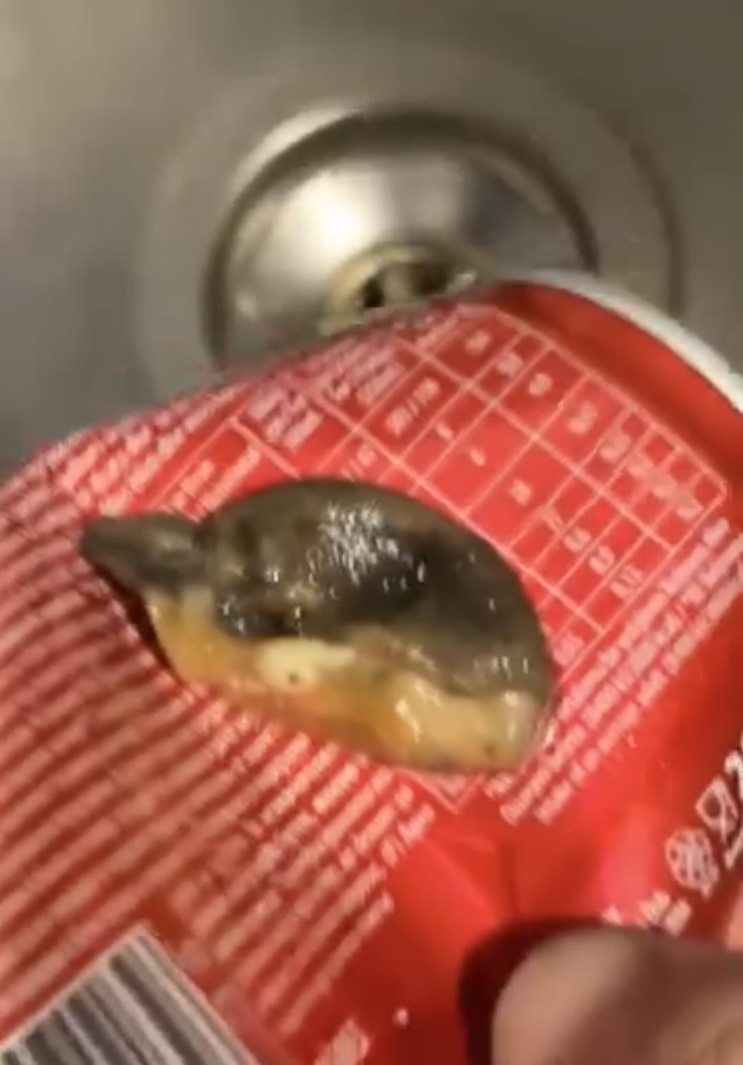 Meyve suyundan çıkan cisimle şok oldu