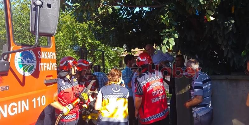 Meyve Toplayan Yaşlı Adam Ağaçtan Düşerek Demir Kapı Çubuğuna Saplandı