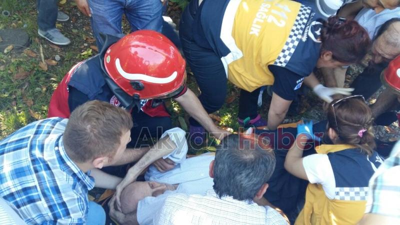 Meyve Toplayan Yaşlı Adam Ağaçtan Düşerek Demir Kapı Çubuğuna Saplandı