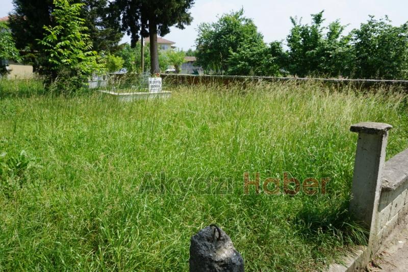 Mezarlıkların Bakımsız Hali Tepki Topluyor