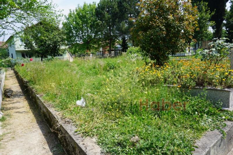 Mezarlıkların Bakımsız Hali Tepki Topluyor