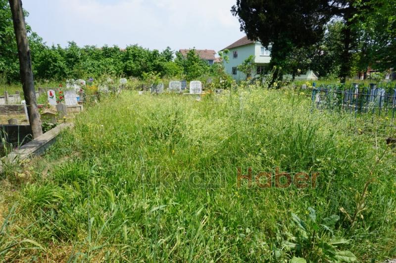 Mezarlıkların Bakımsız Hali Tepki Topluyor