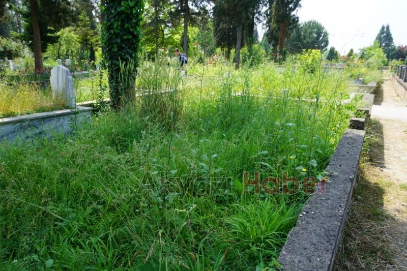 Mezarlıkların Bakımsız Hali Tepki Topluyor
