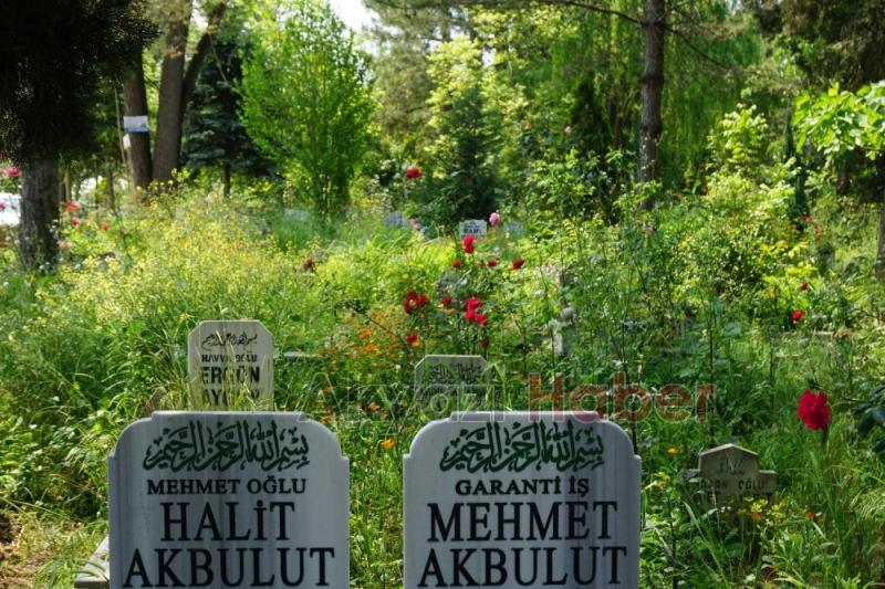 Mezarlıkların Bakımsız Hali Tepki Topluyor