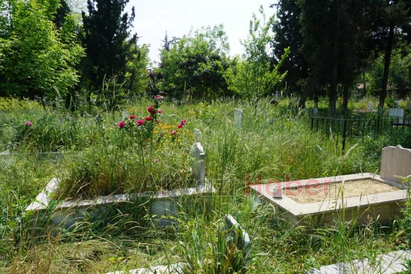 Mezarlıkların Bakımsız Hali Tepki Topluyor