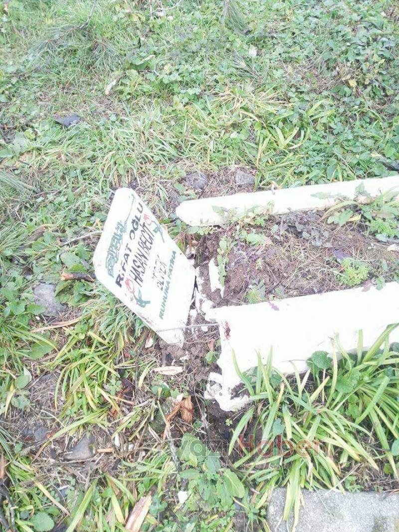 MEZARLIKTA BULUNAN AĞAÇLARI KESTİLER