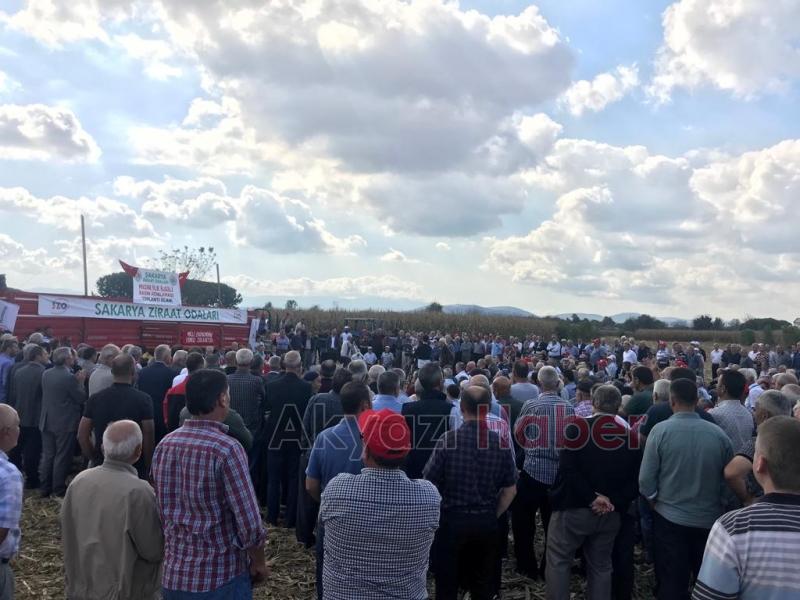 Mısır üreticileri tepkilerini dile getirdi