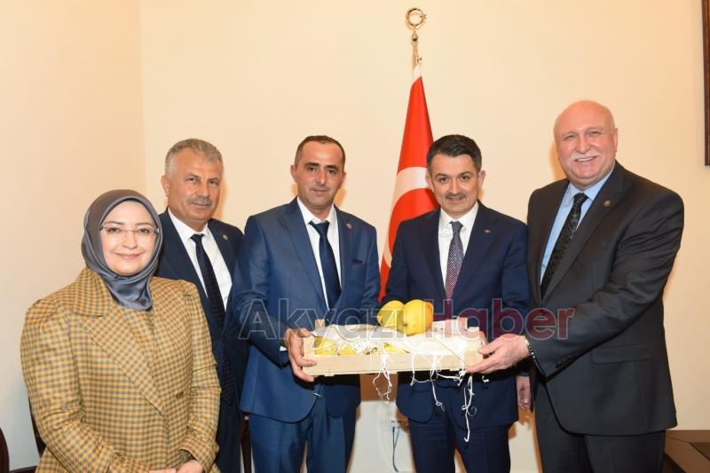 MISIR ÜRETİCİLERİNE MÜJDELİ HABER