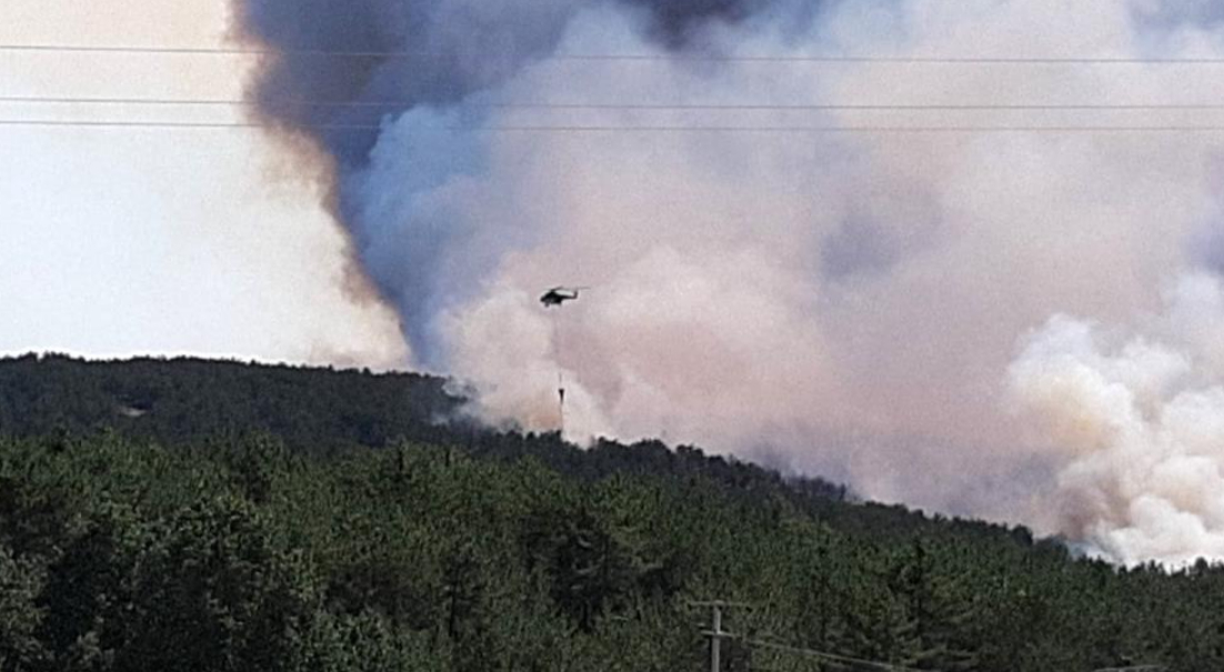Mudurnu'da büyük orman yangını