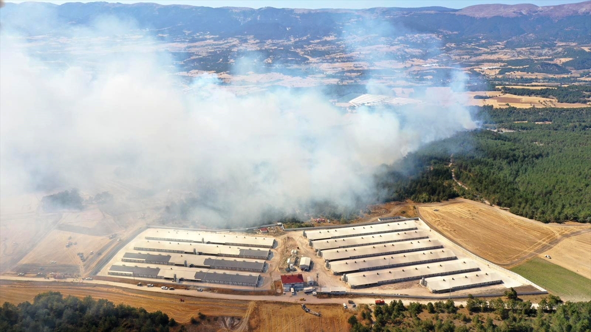 Mudurnu'da büyük orman yangını