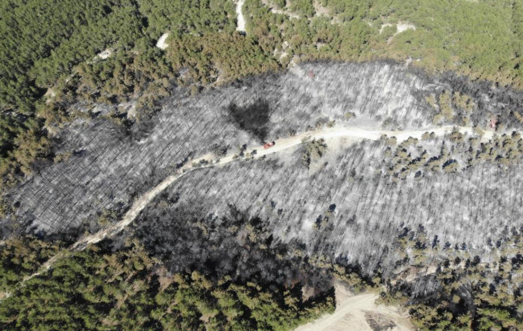 Mudurnu'daki orman yangını kontrol altına alındı