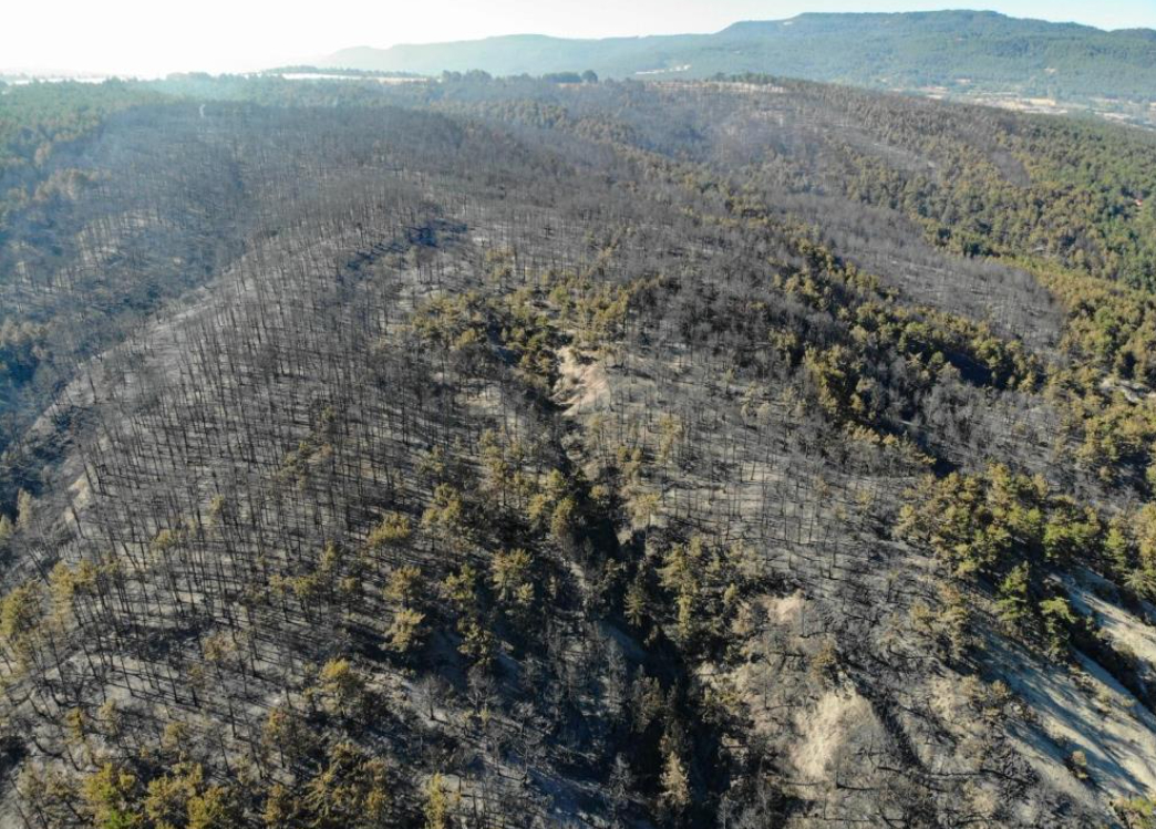 Mudurnu'daki orman yangını kontrol altına alındı