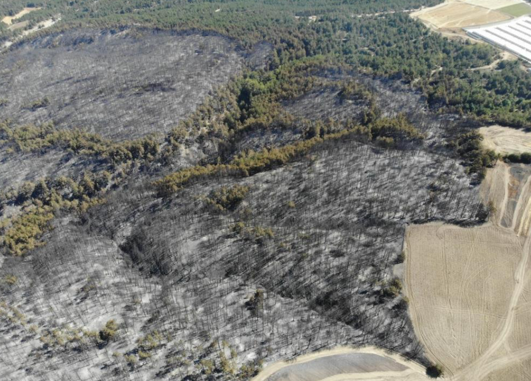Mudurnu'daki orman yangını kontrol altına alındı