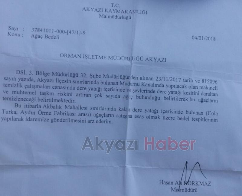 MUDURNU DERE YATAĞINDA BÜYÜYEN AĞAÇLAR KESİLİYOR