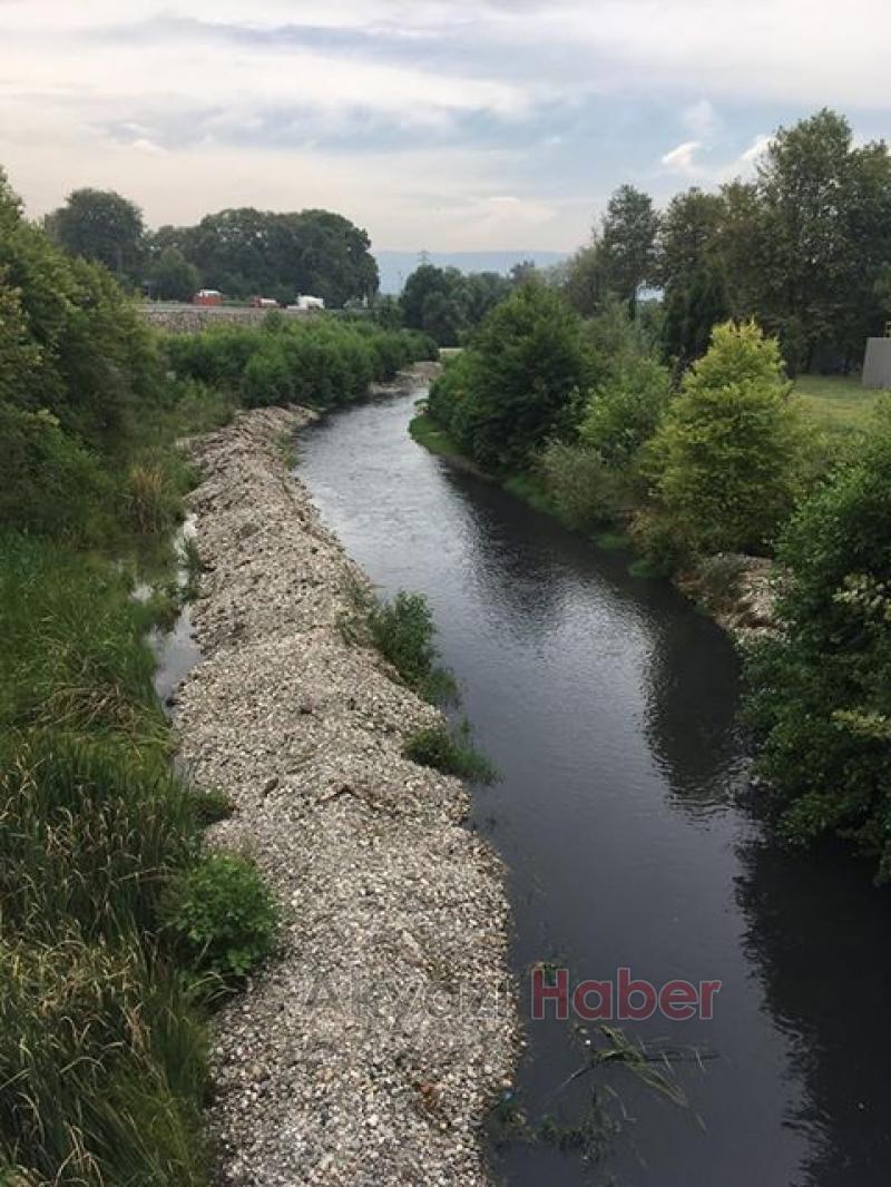 Mudurnu Deresinin rengi siyaha döndü