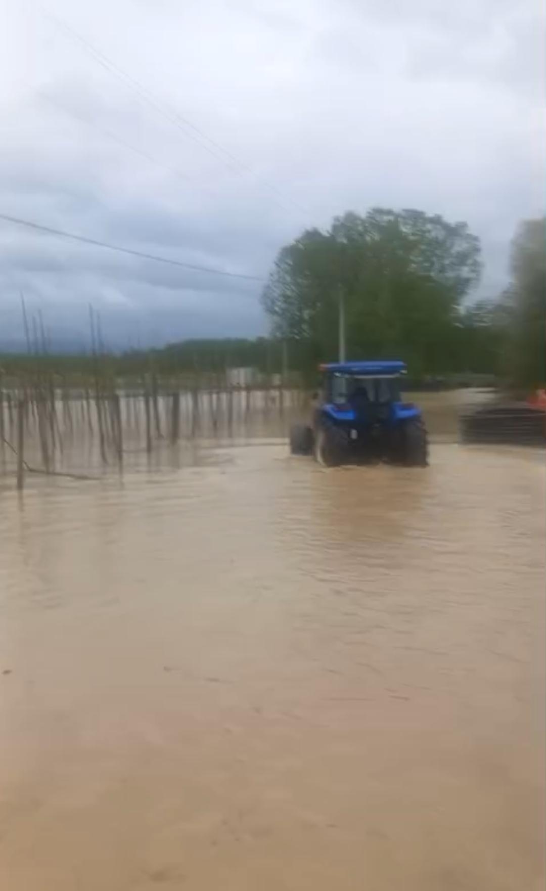 Mudurnu taştı, tarlalar ve yol sular altında kaldı