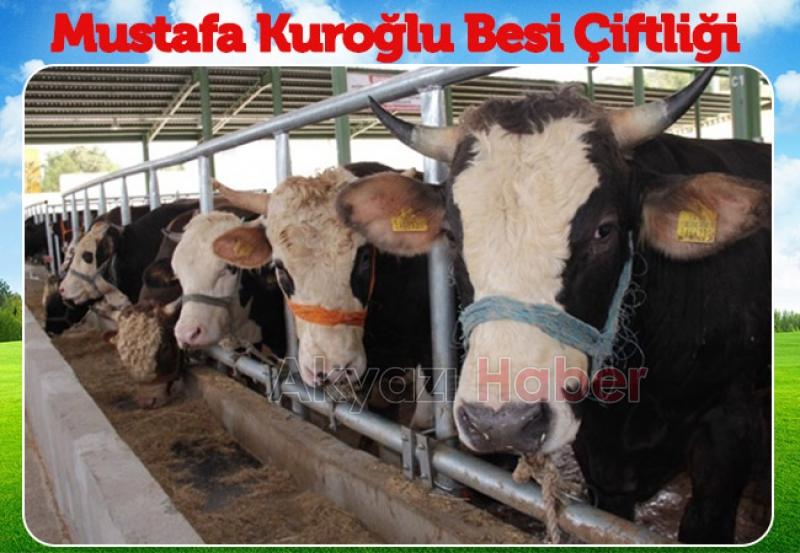 Mustafa Kuroğlu farkıyla Hisse ve Kurbanlık satışları başlamıştır