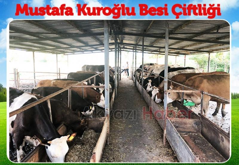 Mustafa Kuroğlu farkıyla Hisse ve Kurbanlık satışları başlamıştır