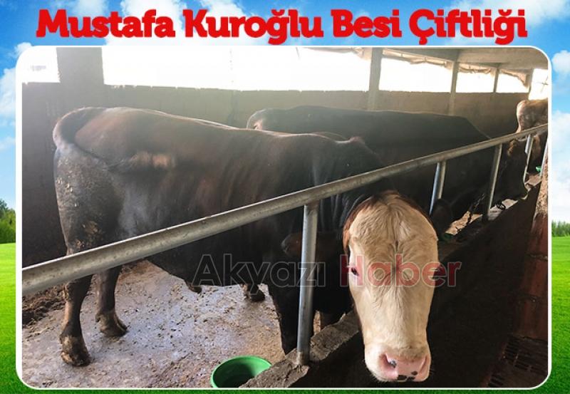 Mustafa Kuroğlu farkıyla Hisse ve Kurbanlık satışları başlamıştır
