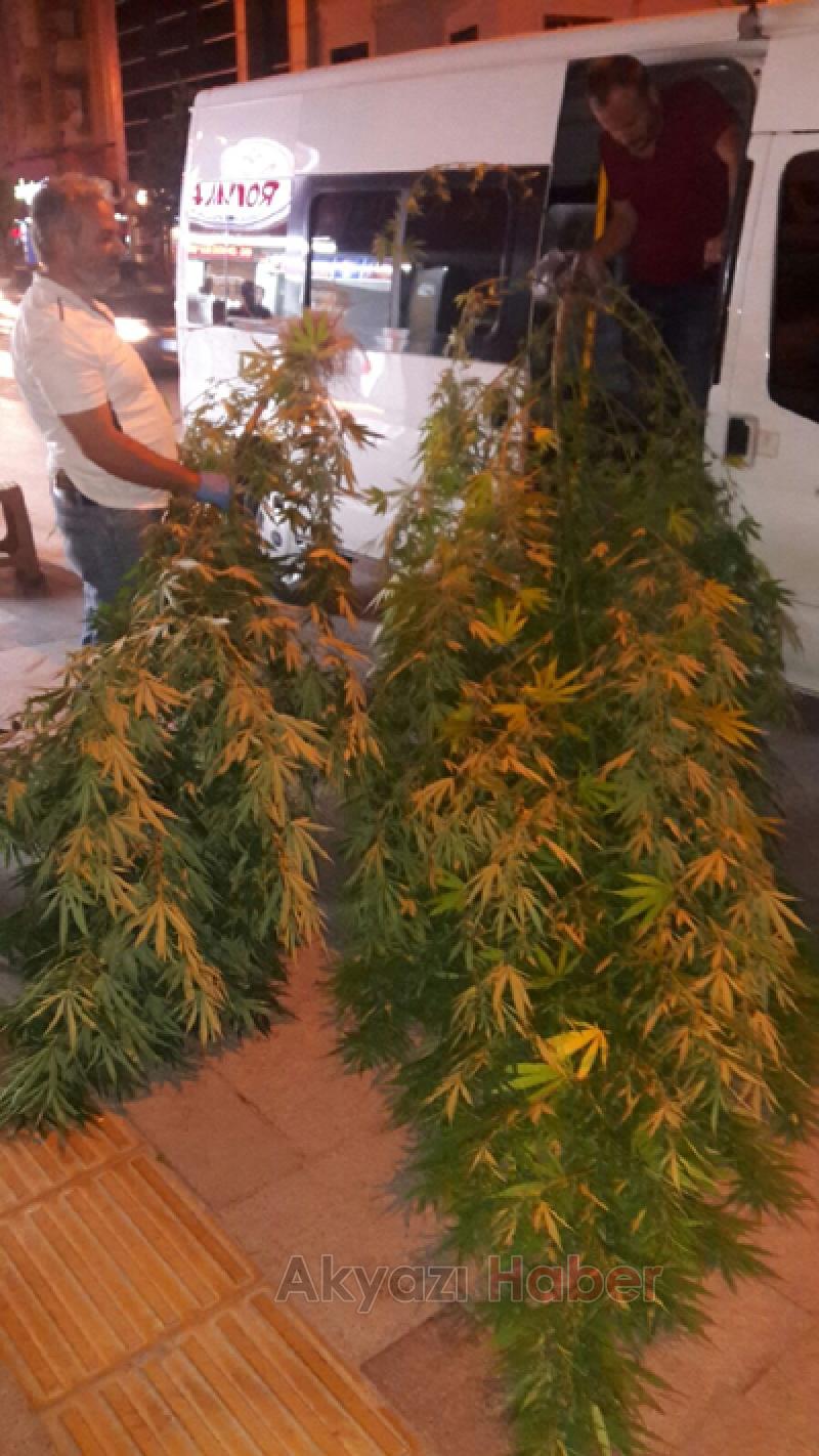 Narkotik ekiplerinden başarılı operasyonlar 