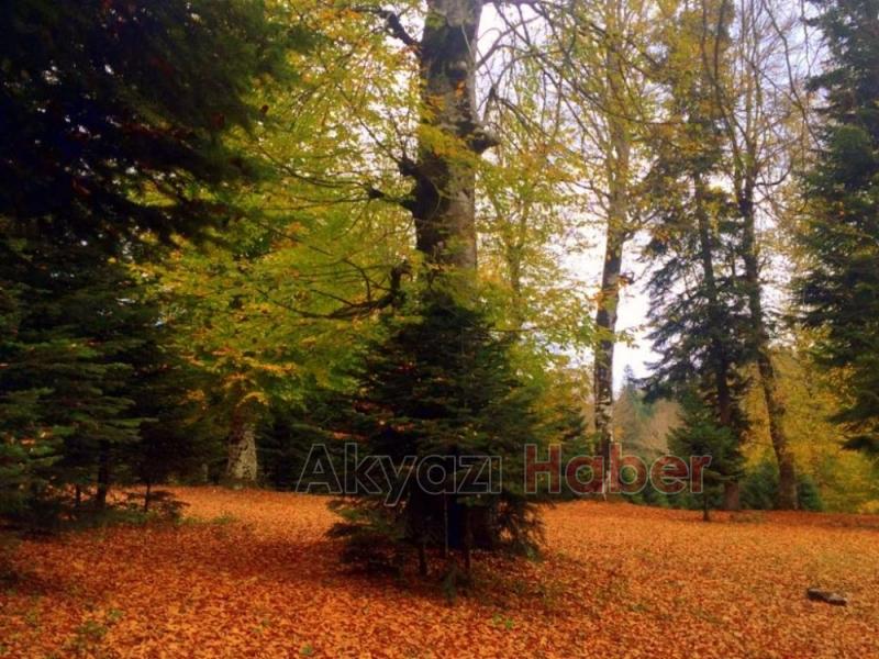 Öğretmenlerden Doğa Yürüyüşü