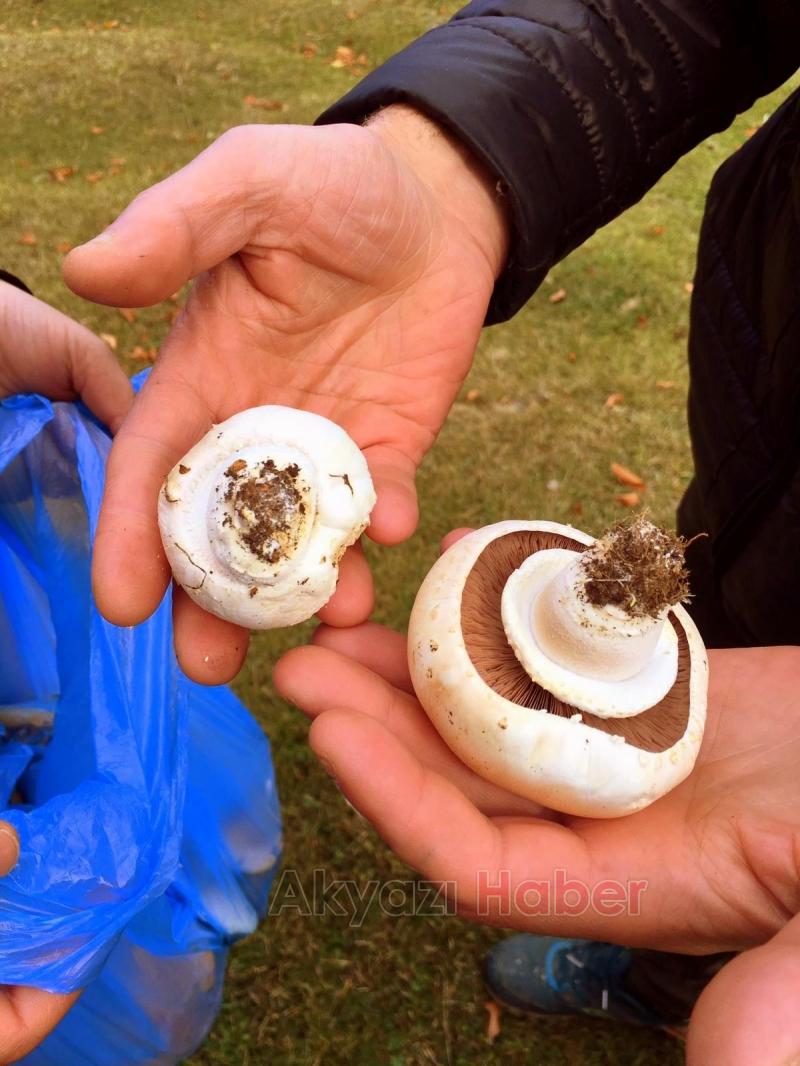 Öğretmenlerden Doğa Yürüyüşü