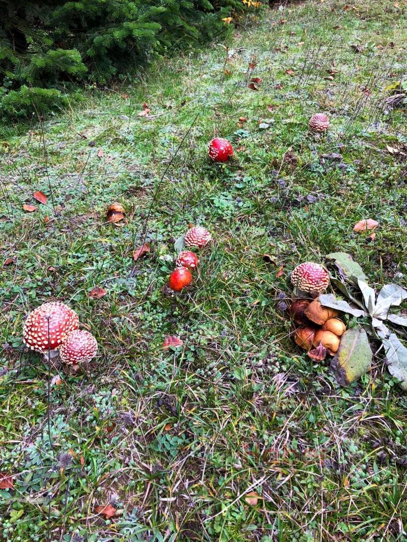 Öğretmenlerden Doğa Yürüyüşü