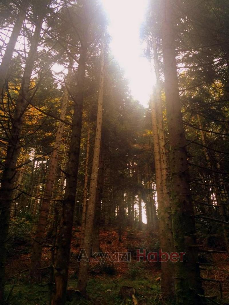 Öğretmenlerden Doğa Yürüyüşü