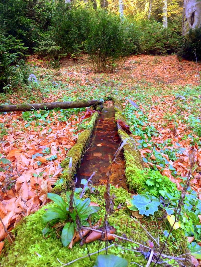 Öğretmenlerden Doğa Yürüyüşü