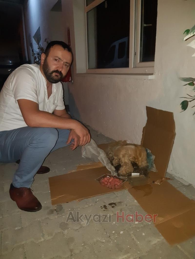 Ölüme Terk Edilen Köpeğe Yardım Eli Uzandı