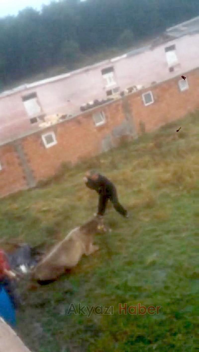 Önce sopayla vurup eziyet etti sonra kesti