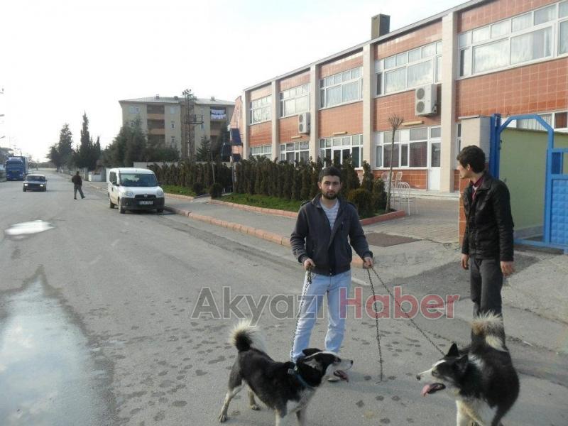 ORDU FATSALI KEREM ÇALIŞKANCI ŞEHİT OLDU