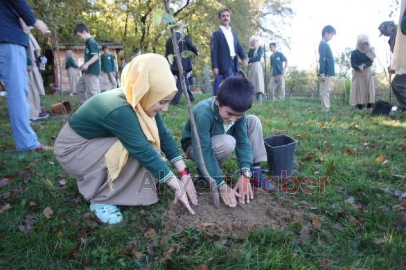 Orman Parkta Doğa Yürüyüşü Ve Meyve Fidanı Dikimi
