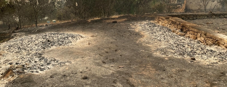 Orman yangını bir köyü yuttu