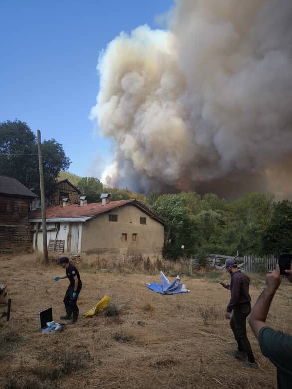 Orman yangını nedeniyle iki mahalle boşaltılıyor