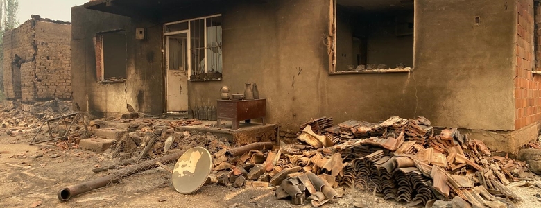 Orman yangını yakıp geçti; Görüntüler yürek yaktı