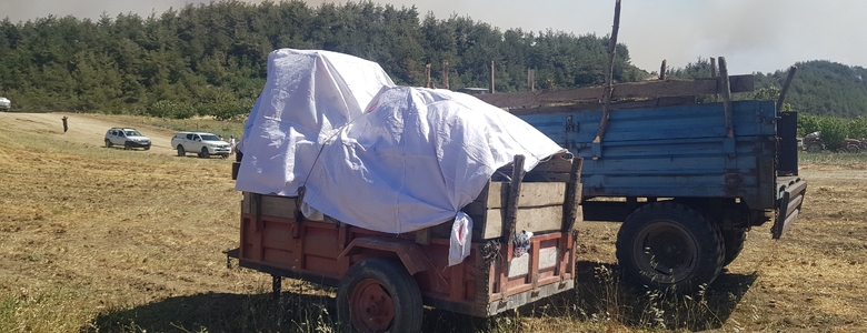 Orman yangını yakıp geçti; Görüntüler yürek yaktı