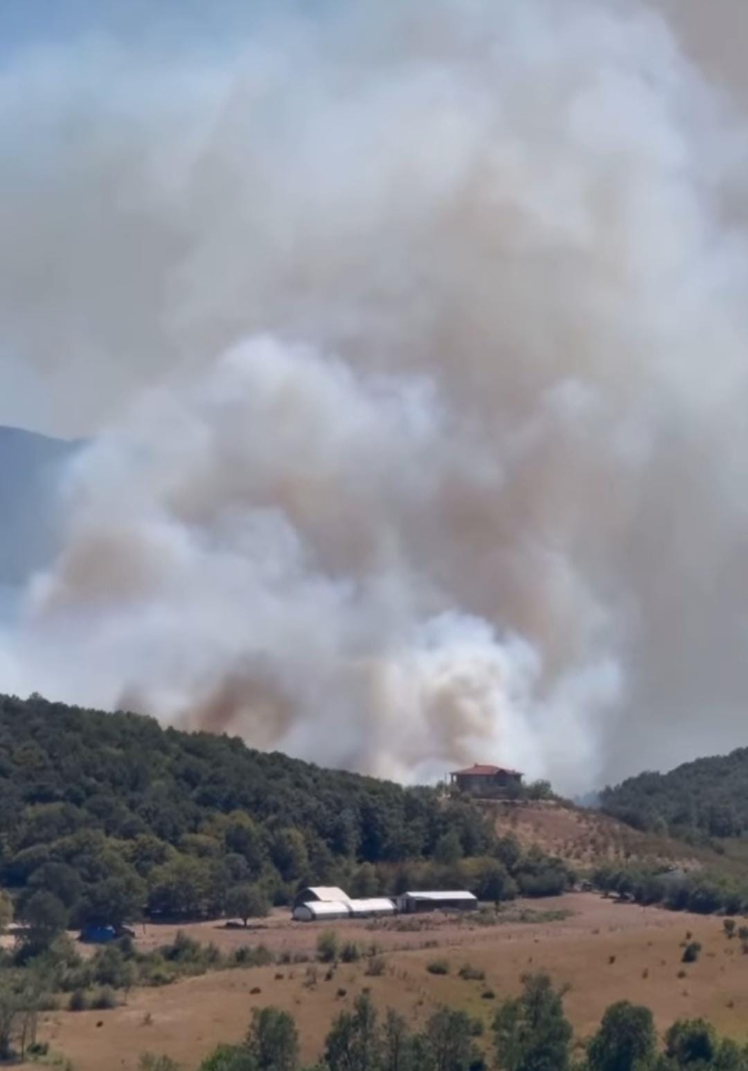 Orman yangınına müdahale sürüyor