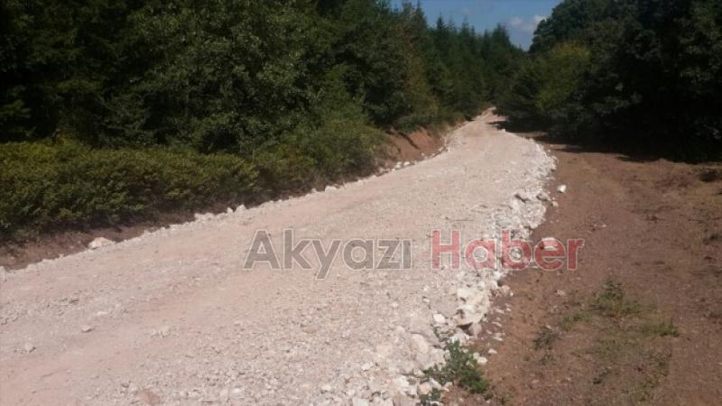 Orman Yolları Yapılıyor