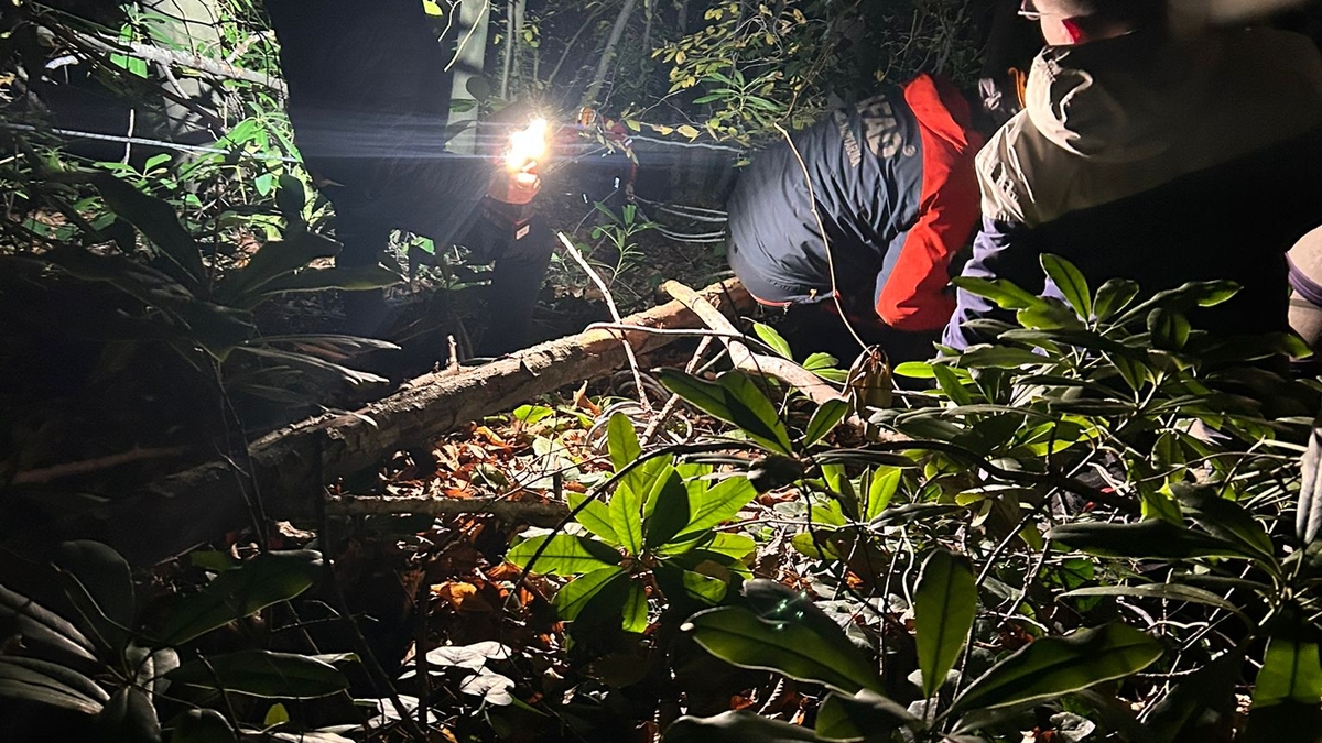 Ormanda düştü, ekipler kurtardı