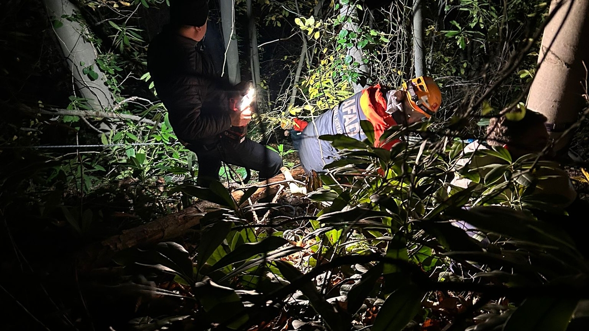 Ormanda düştü, ekipler kurtardı