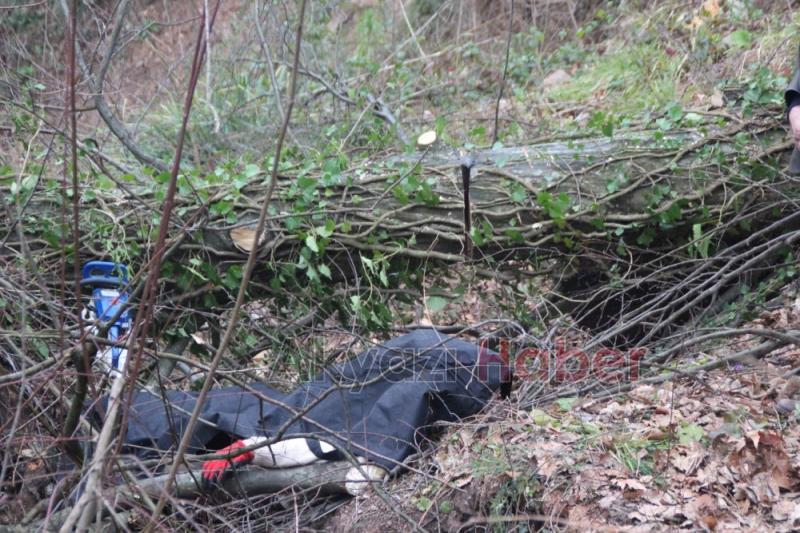 Ormanlık Alanda Ölüm 