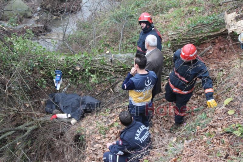 Ormanlık Alanda Ölüm 