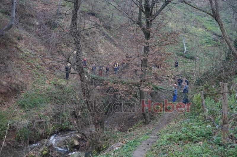 Ormanlık Alanda Ölüm 