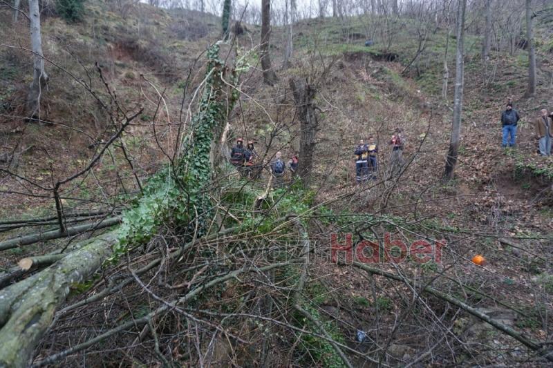 Ormanlık Alanda Ölüm 